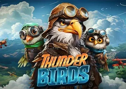 Thunder Birds game icon