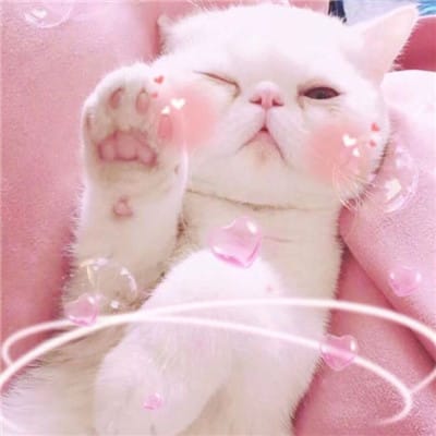 Querubín Quezada_1 avatar